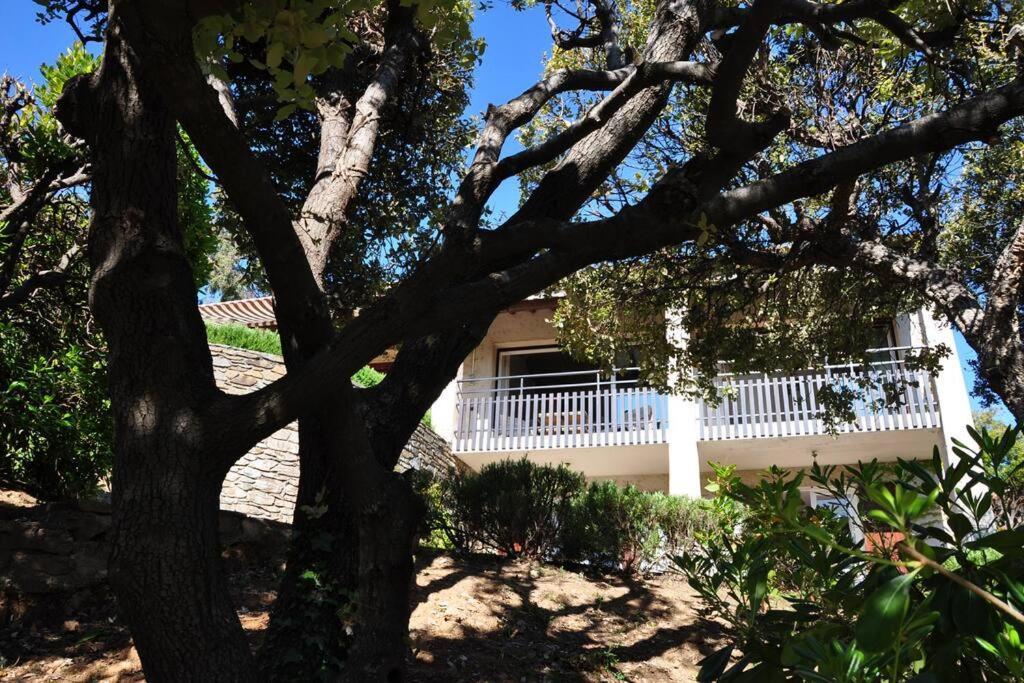 Villa Abeille : Douces Vacances D'Ete Avec Vue Mer Cavalaire-sur-Mer Exterior foto
